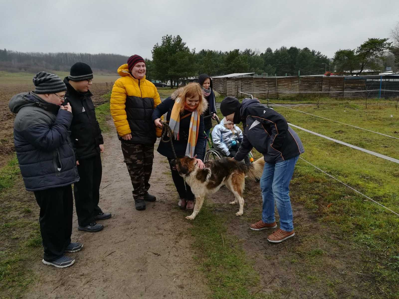 Schronisko Dla Bezdomnych Zwierząt Otoz Animals W Dąbrówce