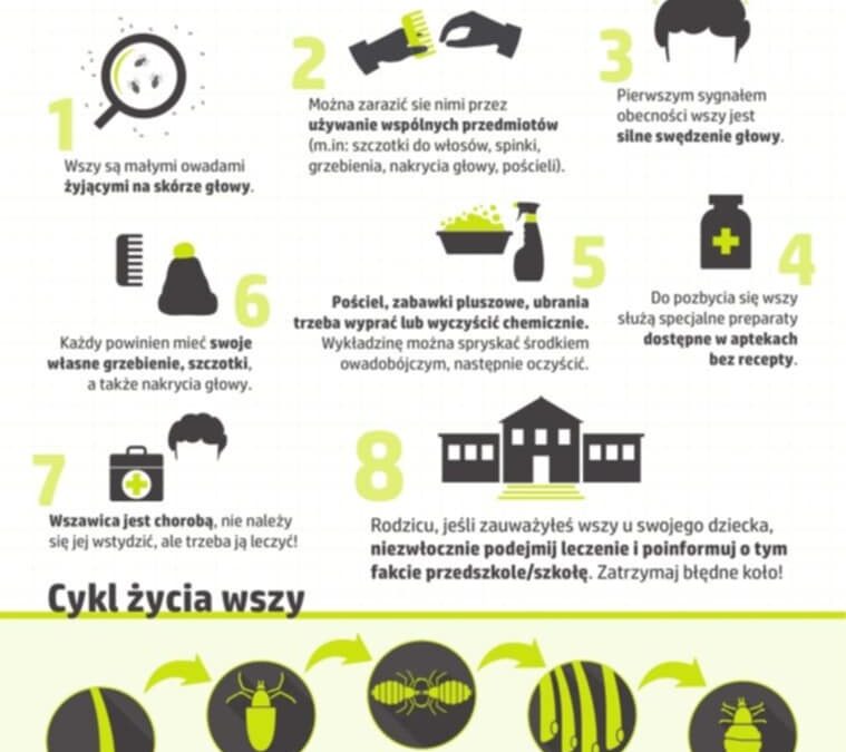 Działania profilaktyczne przeciwko wszawicy