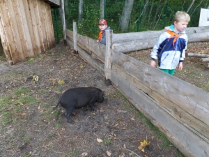 SAMSUNG CAMERA PICTURES