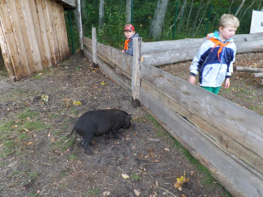 SAMSUNG CAMERA PICTURES