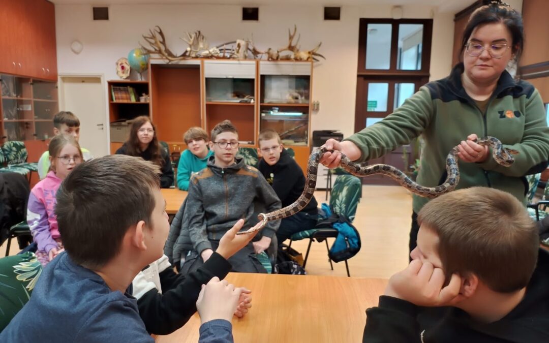 Podróż klas 6 przez kontynenty