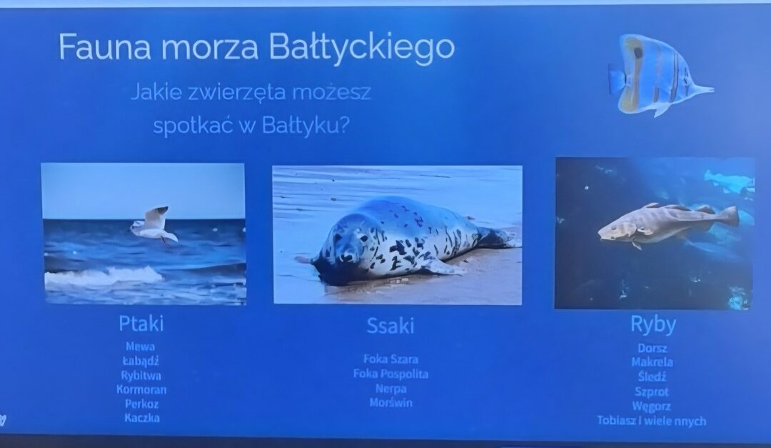 Warsztaty ekologiczne – „Morskie opowieści”.