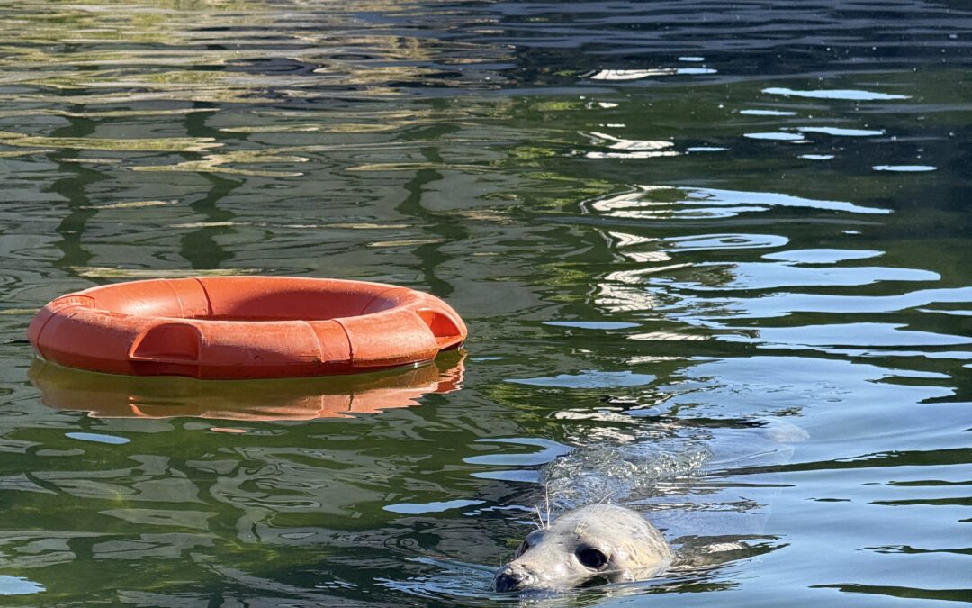 🌊 Kolejna morska przygoda za nami! ⚓